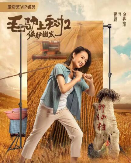 王雨纯体无圣光
